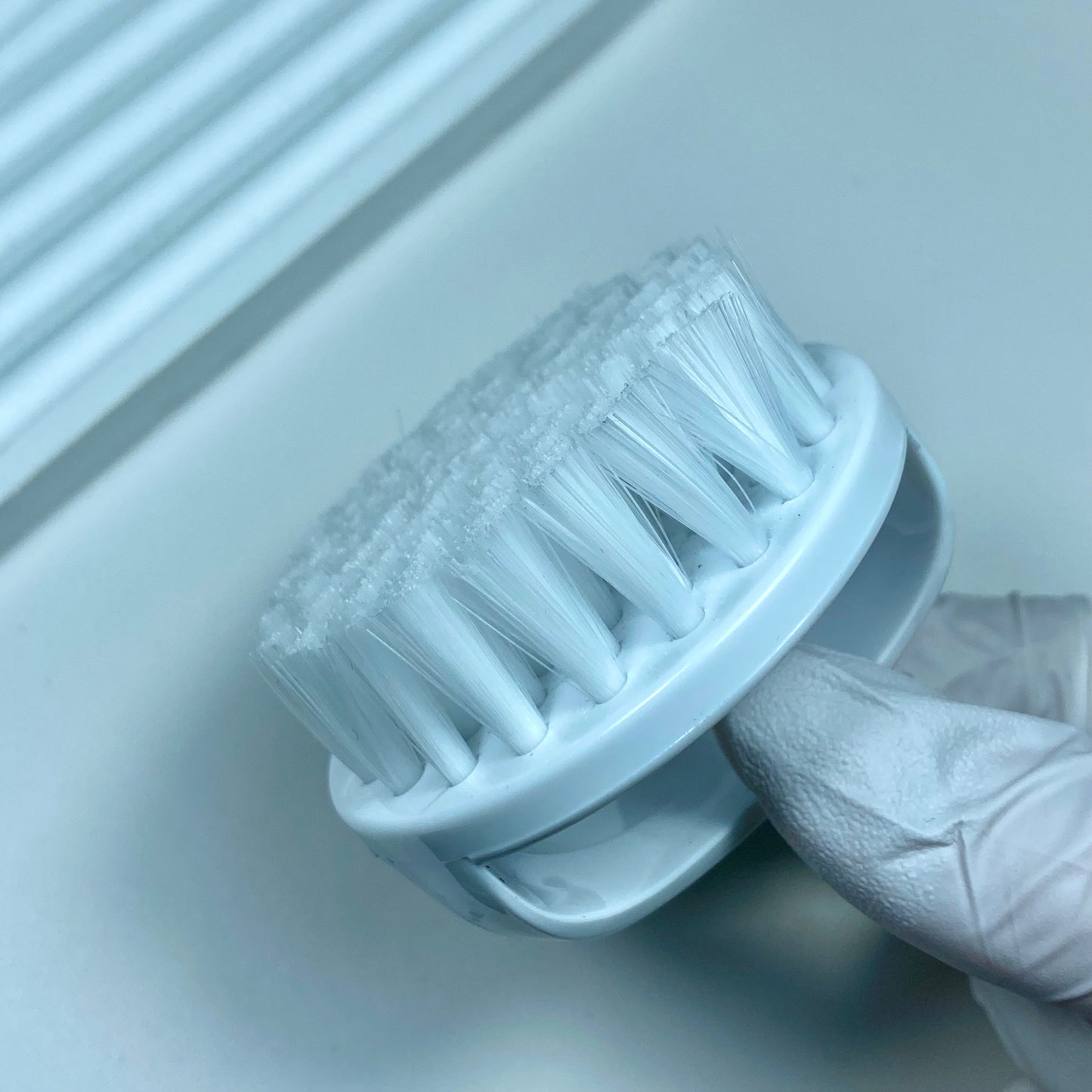 REINIGUNGSSTAUBBÜRSTE